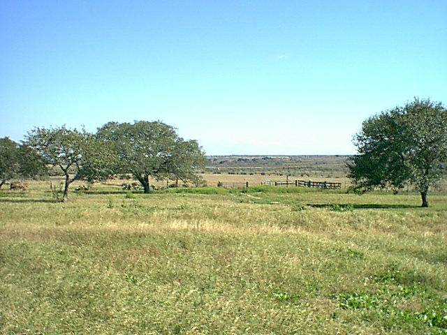 Bickham Ranch